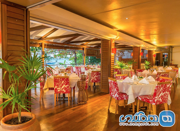 گاسترونومی و هنر آشپزی در موریس: از Fine Dining تا غذاهای خیابانی