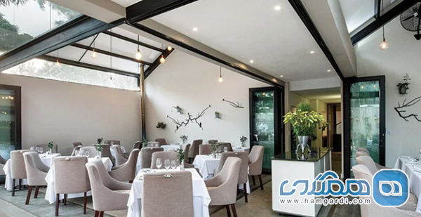 راهنمای لوکس گردشگری و شکم گردی در آفریقای جنوبی ۲۰۲۶