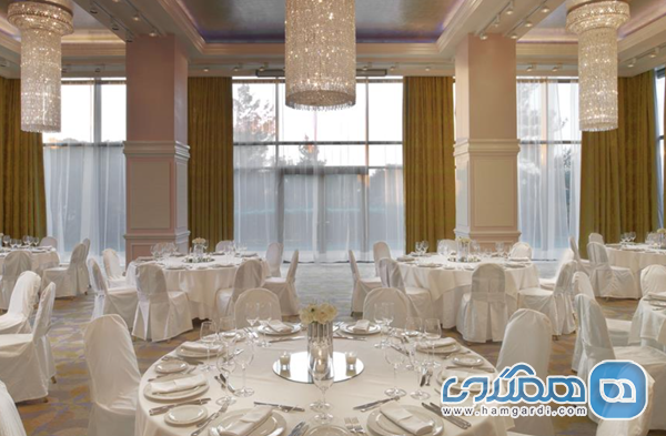 شکم گردی و تندرستی: فراتر از ستاره های میشلن