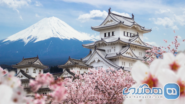 جمع بندی نهایی برای خریداران تور نوروز ۱۴۰۵