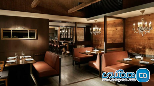 شکم گردی حرفه ای: تحلیل رستوران های میشلن و ترندهای غذایی ۲۰۲۶