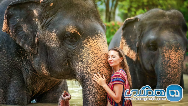 پوکت ۲۰۲۶؛ جاذبه های نوین و هزینه های تفریح