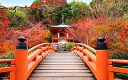 سفری کوتاه به تماشاترین نقاط کیوتو